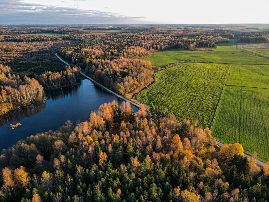 Forest, fields, and river seen from above with a road cutting through.