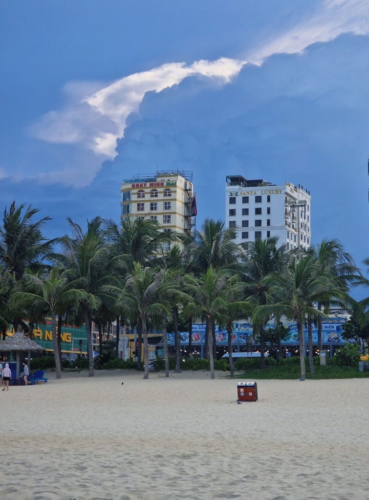 Beach and palm trees with high-rise buildings in the background.