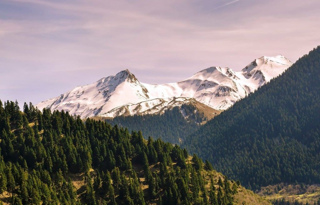 Snow capped mountains with green forests in the foreground