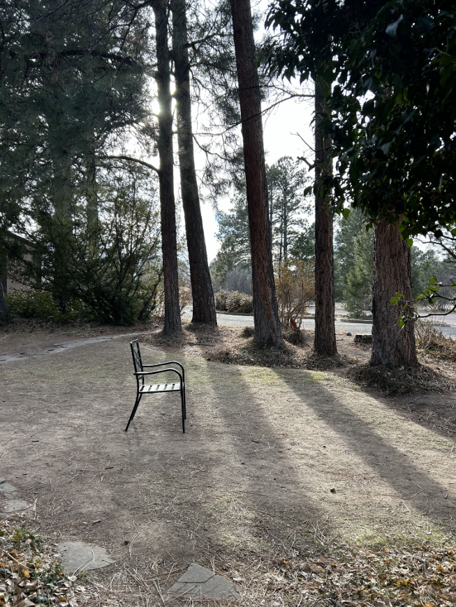 Outdoor chair standing among trees in a yard