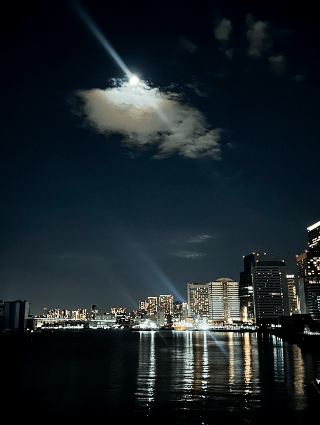View of tall buildings from across the water at night