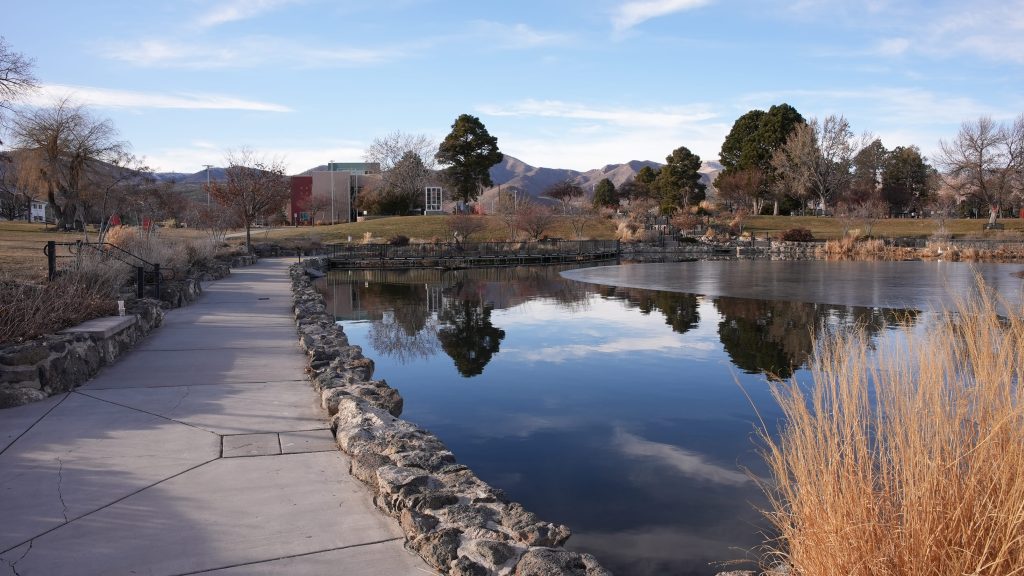 Stone paved walkway around a pond