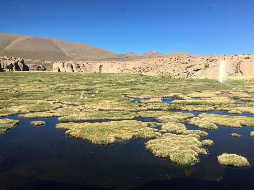 Lake wit green vegetation floating on top in mountain landscape.