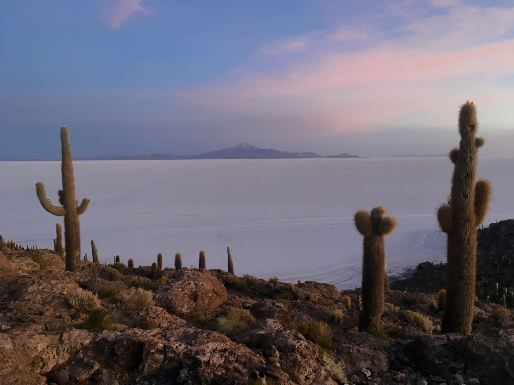 Cacti on a hill overlooking a salt flat desert