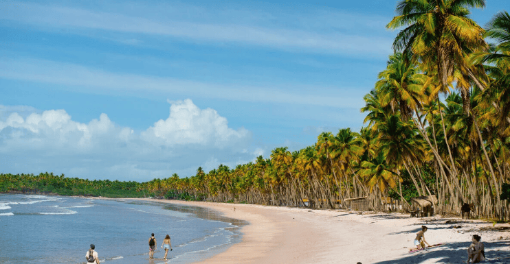 White sand beach with palm trees stretching along it.