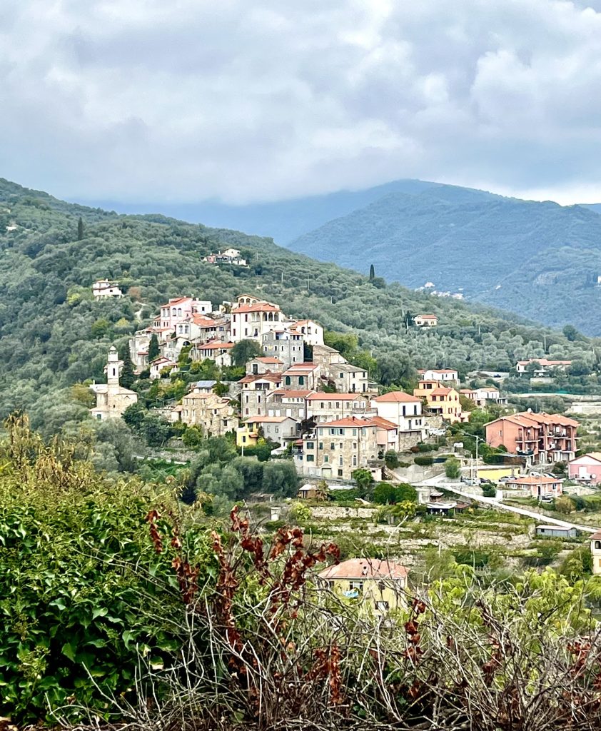 Village with white washed buildings on mountain side.