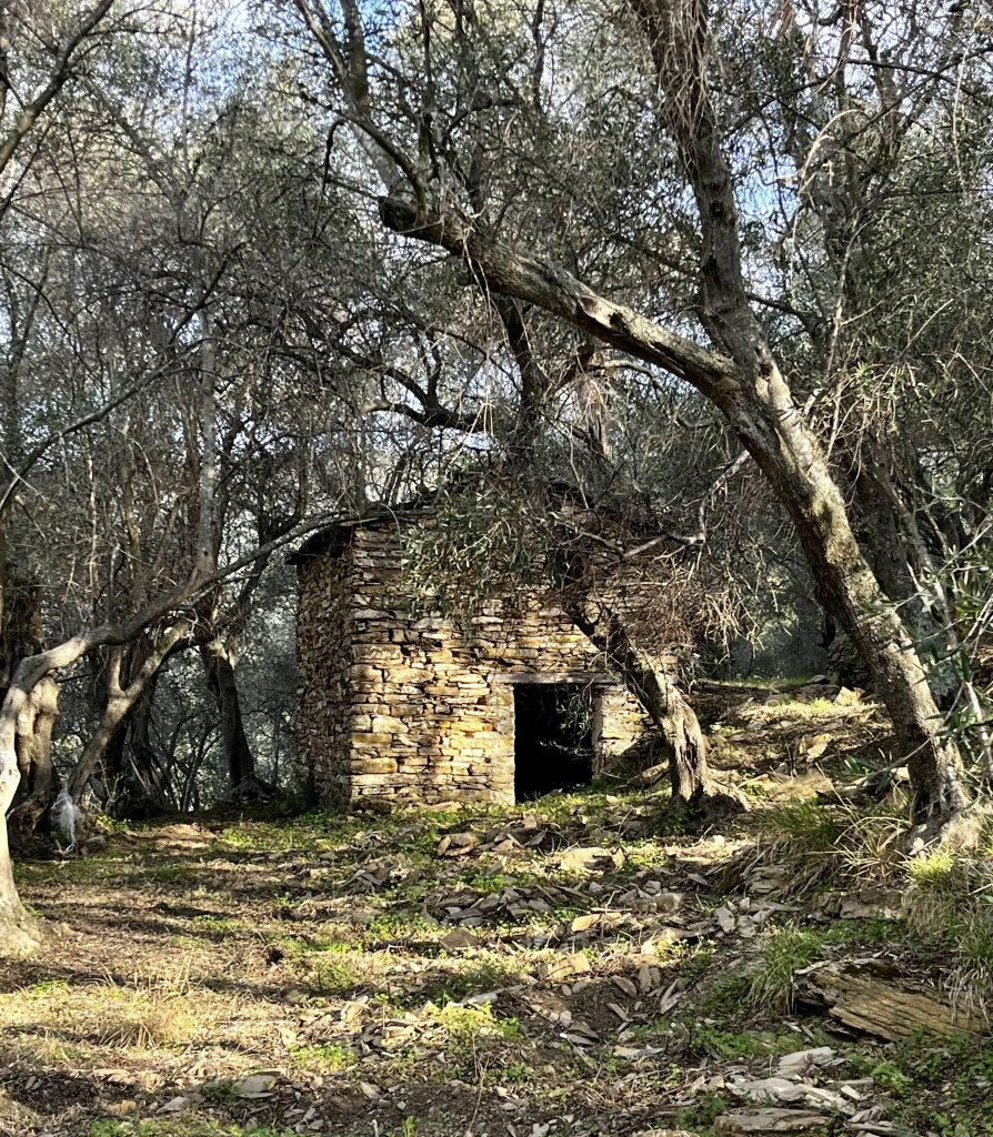 Small hut among trees