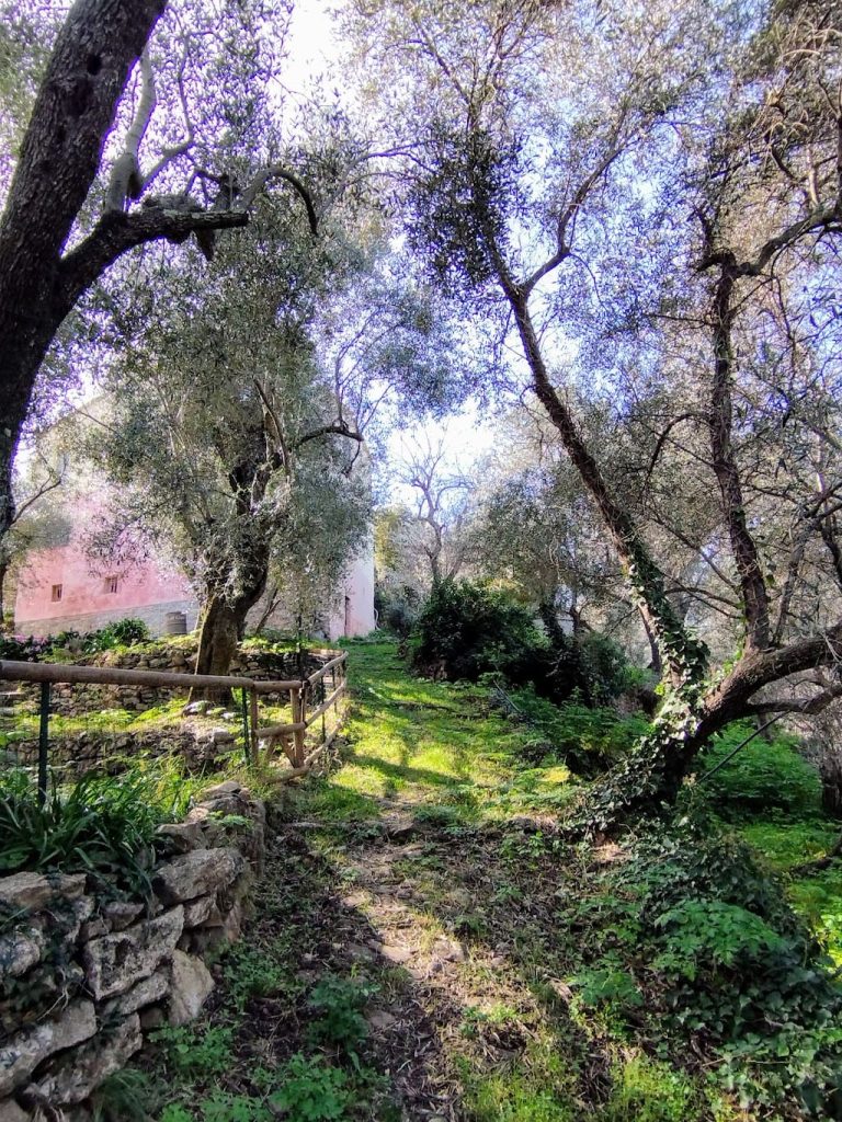 Stony hiking path among trees and old buildings