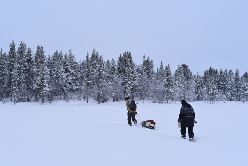 Two people traversing a snowy landscape pulling gear