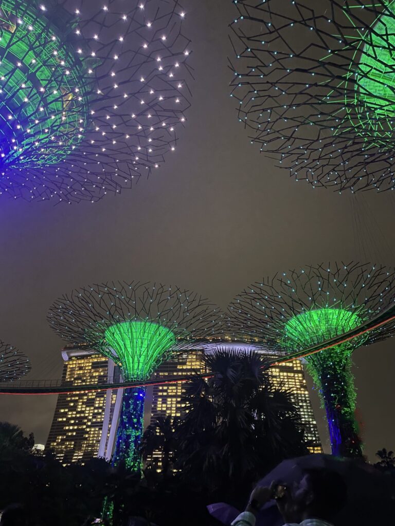 Illuminated structures shaped like trees at night