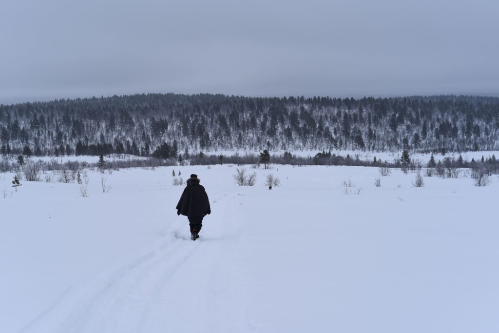 Person walking in snowy landsacape