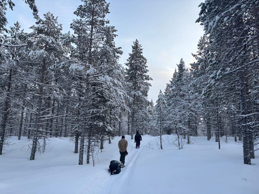 People hiking through snow amid trees