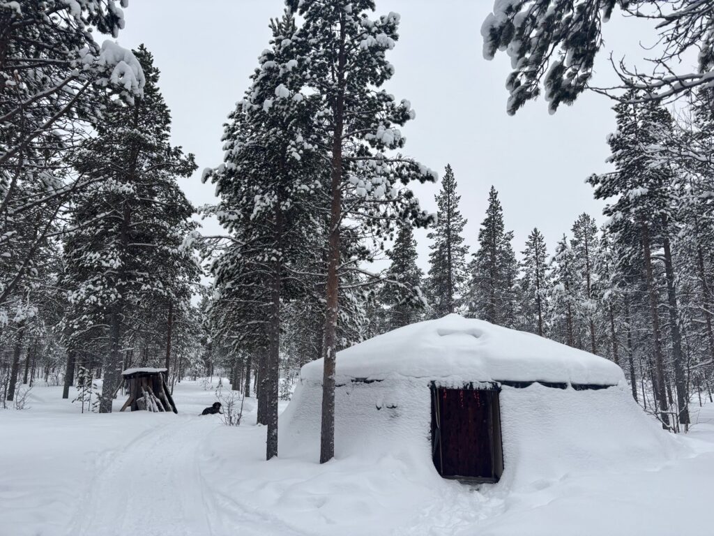 Snow covered huts in forest setting