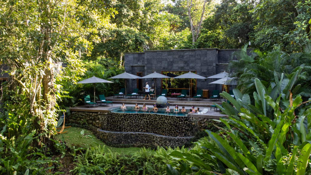 Pool structure in jungle