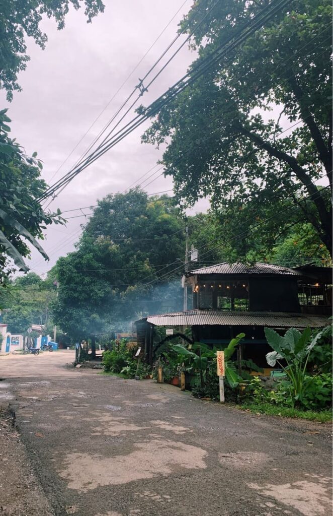 Roadside restaurant with lush vegetation