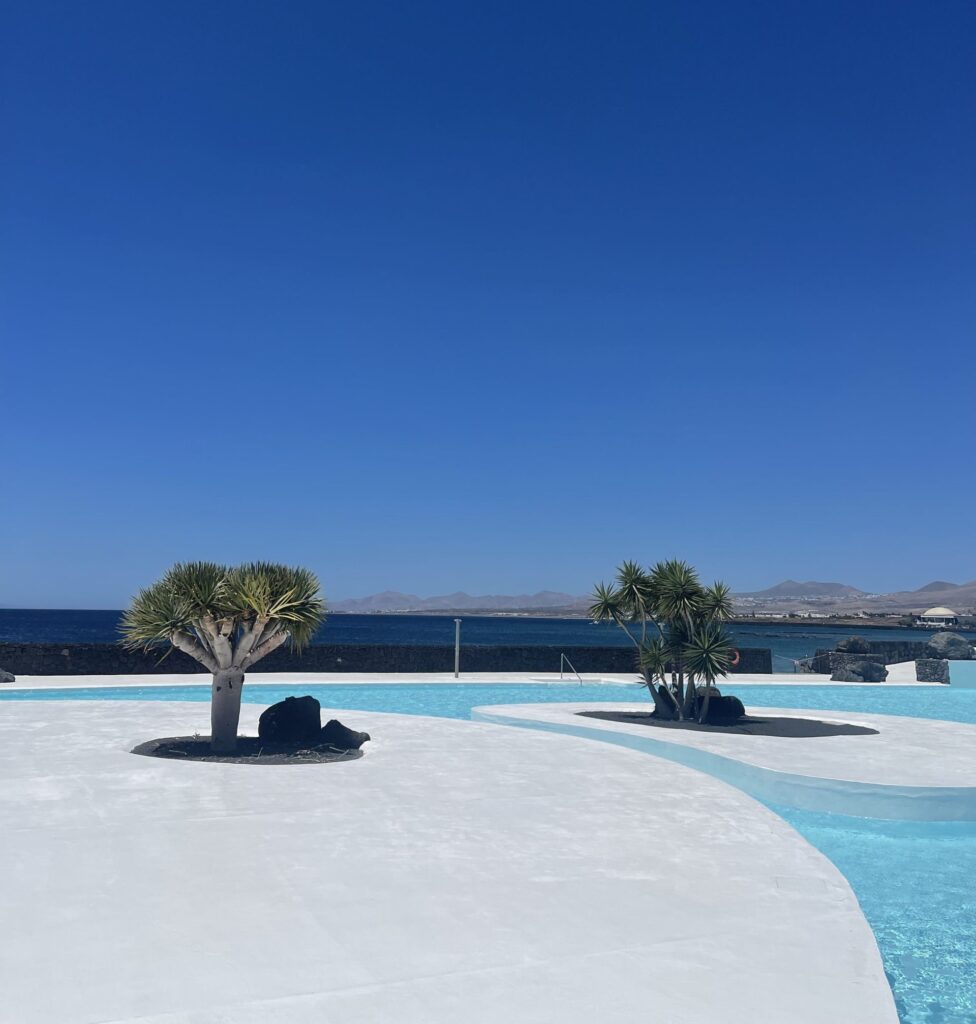 Large pool with vegetation near the sea