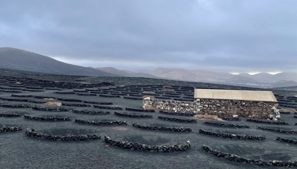 Black volcanic fields