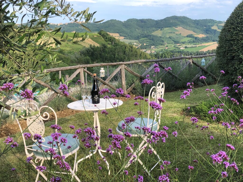 View of rolling hills from a small white table with a bottle of sparking wine