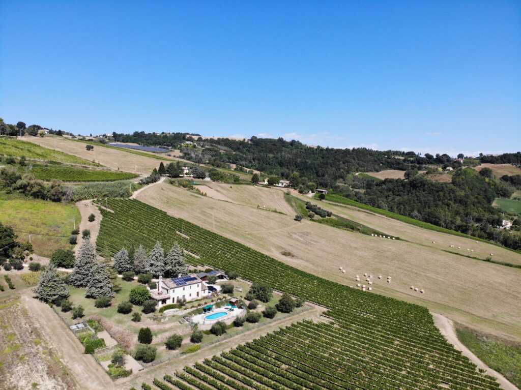Farm house with pool set amid cultivated land