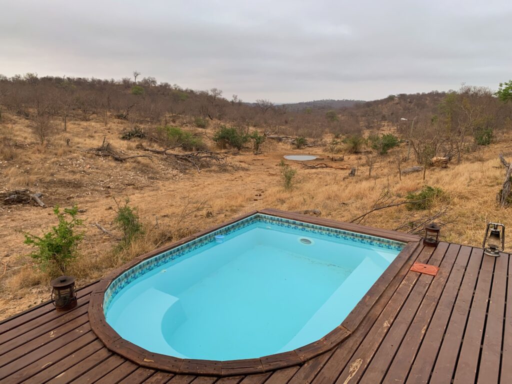 Pool built into a deck overlooking a bushy landscape