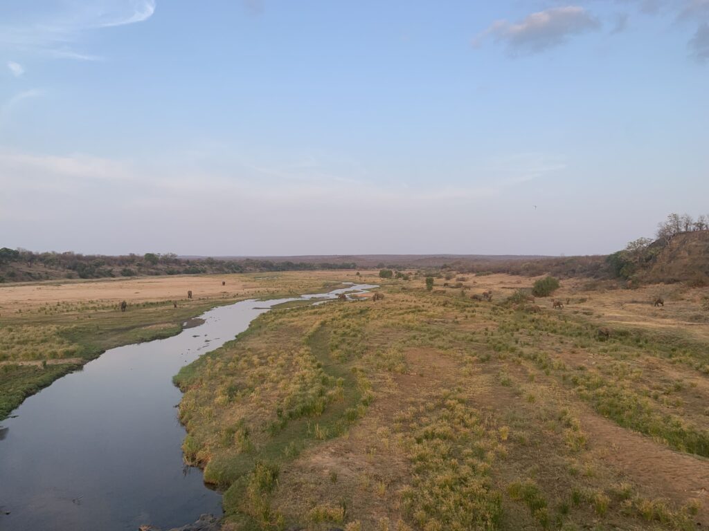 A small stream running through a grassy landscape
