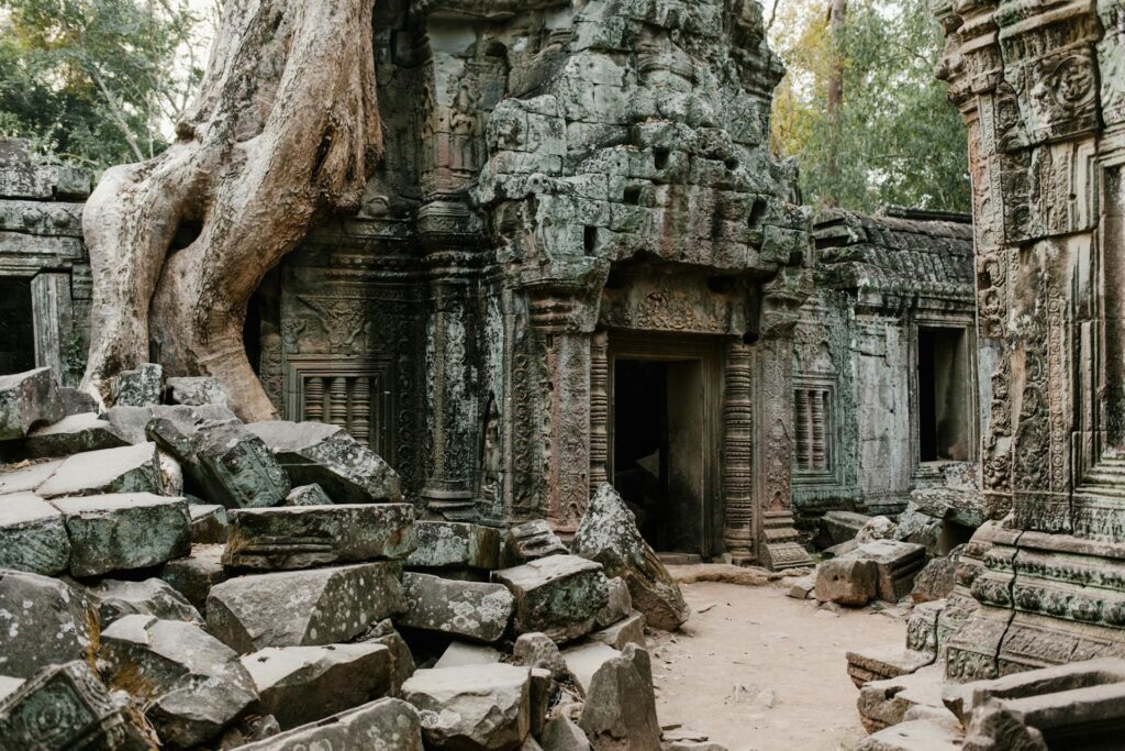 Tree roots growing over a set of ruins