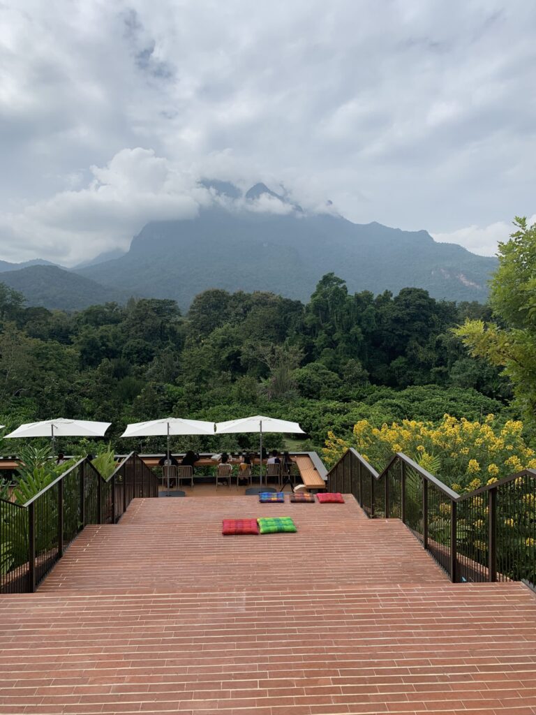 Patio with multiple levels overlooking forest and mountains