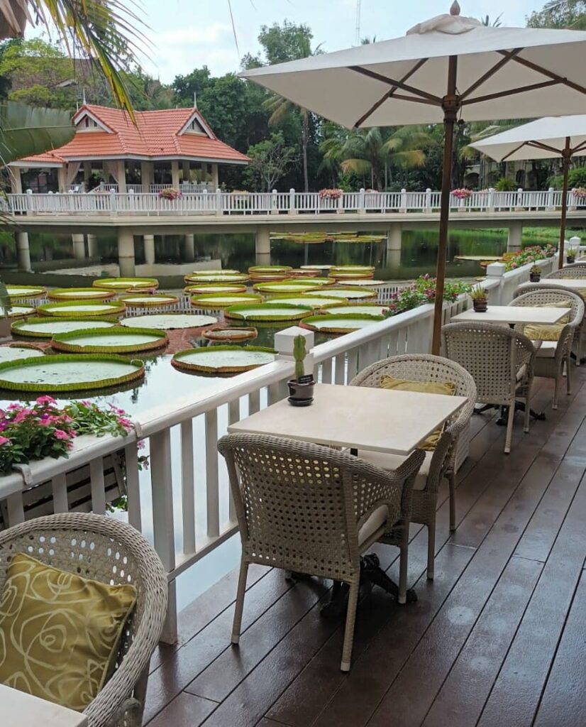 Tables lined up next to railing overlooking a pond with lotus flowers