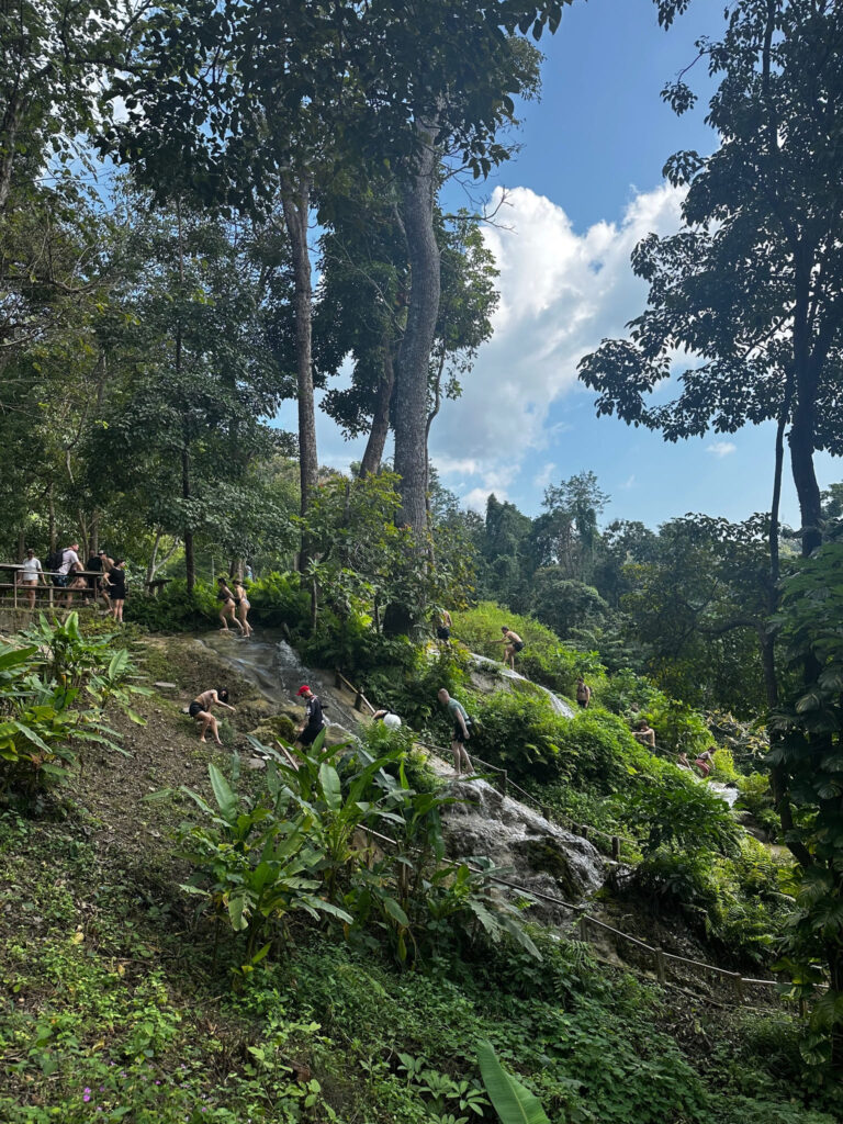 People walking up a hill in the jungle