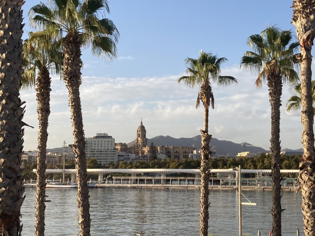 City seen through palm trees in the harbour