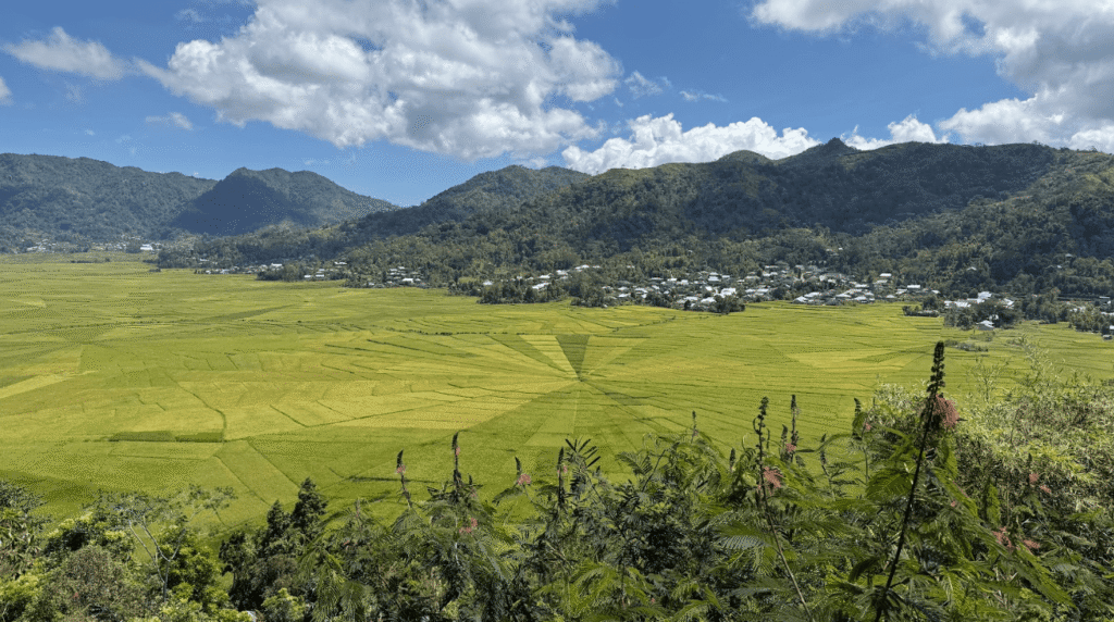 Rice fields growing in a spider web like fashion, with a small village near the mountains