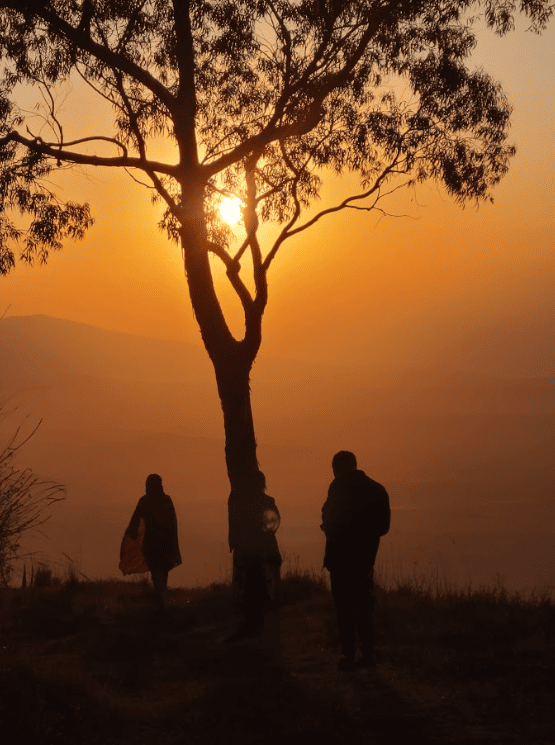 Three people standing near a tree at sunset