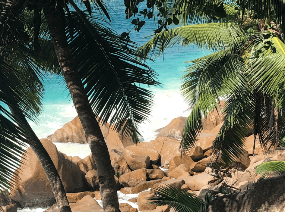 Close up of tropical beach with rocks, white sand beach, and palm trees