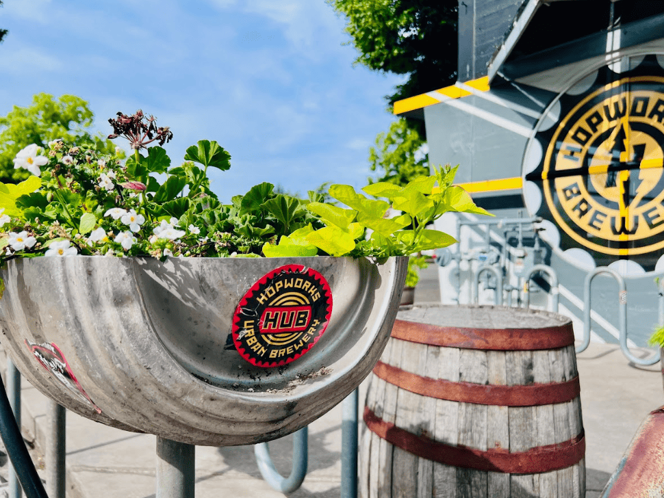 Plants near a wine crate