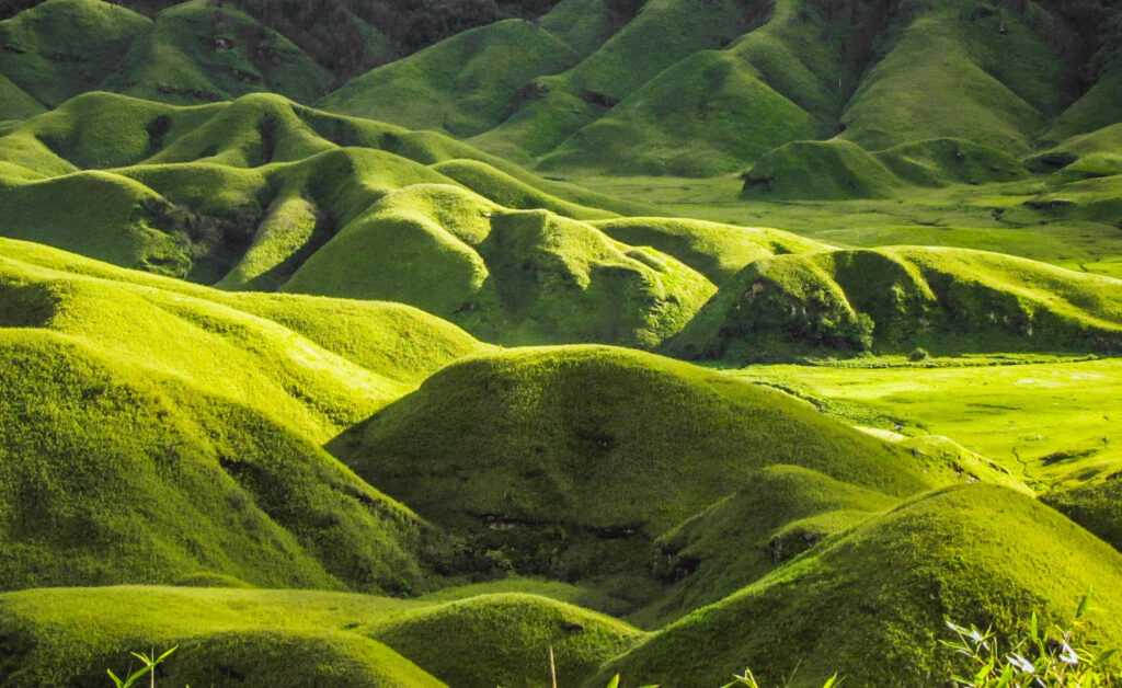 Valley with green hills and ridges