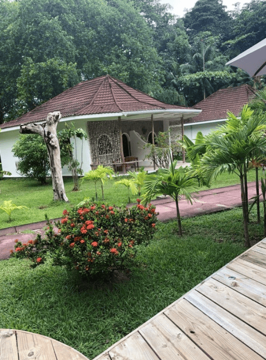 A chalet in garden setting