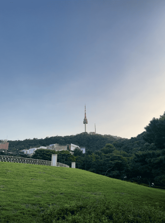 Park area with forested mountain in background where telecom towers rise