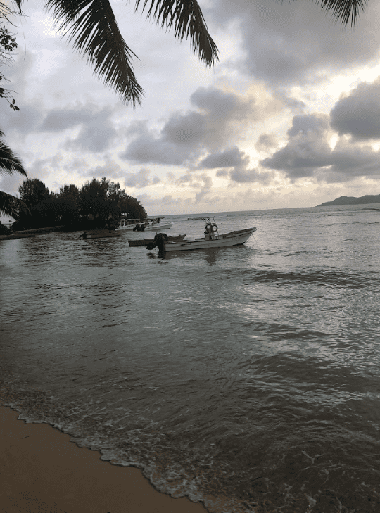 Small boat anchored near beach