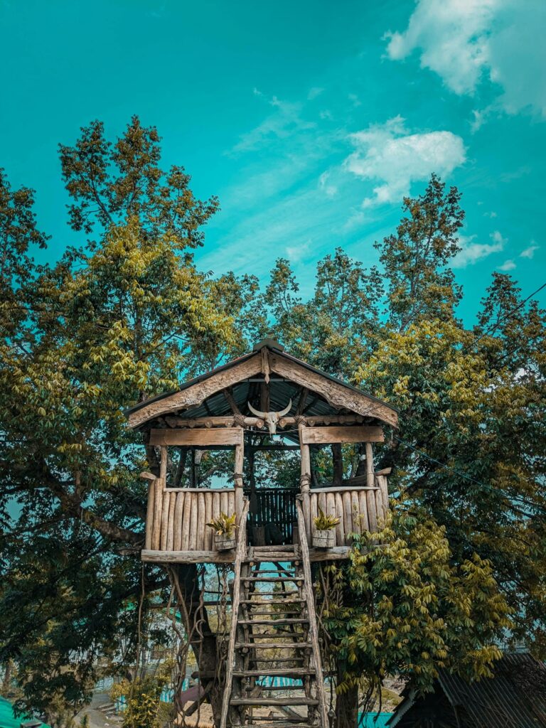 Large treehouse with staircase